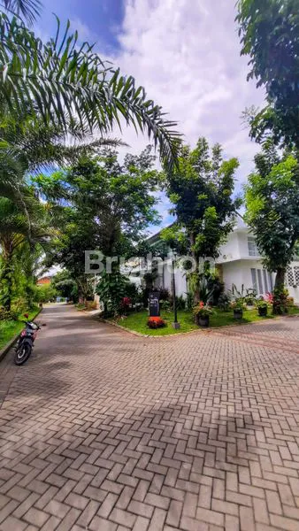 image TANAH HOEK LANGKA PERMATA JINGGA (2)