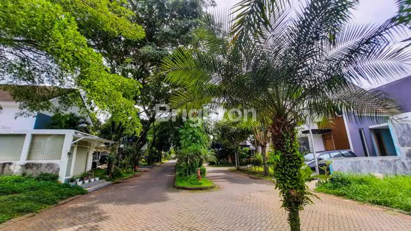 image TANAH HOEK LANGKA PERMATA JINGGA (4)