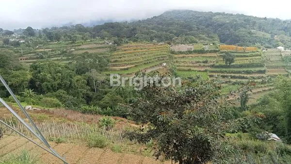 image TANAH PANORAMA ALAM DI JUAL  BEDUGUL (2)