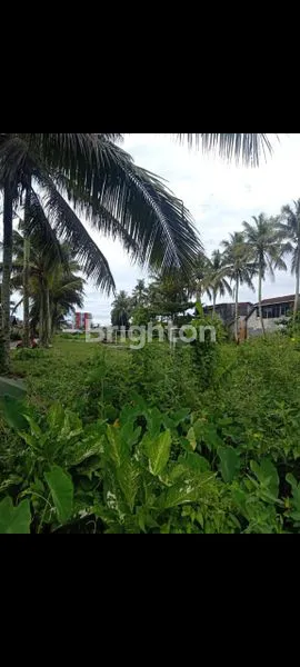 image MANGGAR TANAH DIJUAL HGB (1)