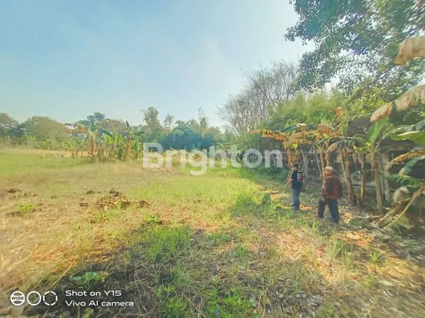 image TANAH SAWAH LUAS 5000M² DI SAMBILEREP, DEKAT GRAHA NATURA (1)