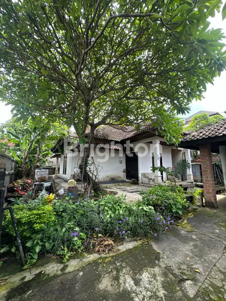 image LAHAN PANJER (1)