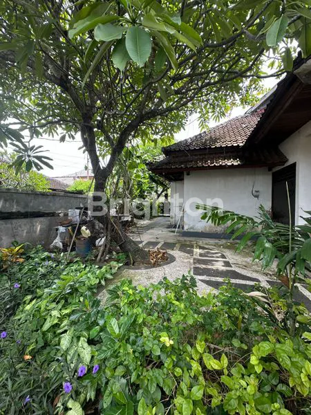 image LAHAN PANJER (2)