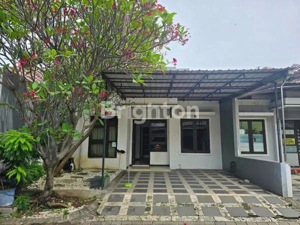 image ROYAL KETINTANG  (1)