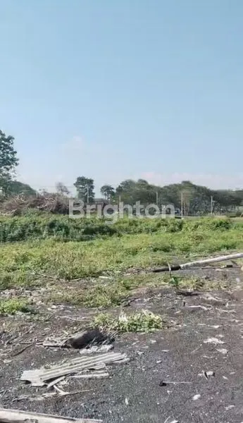 image TANAH LOS PANTAI JUAL STRATEGIS (4)