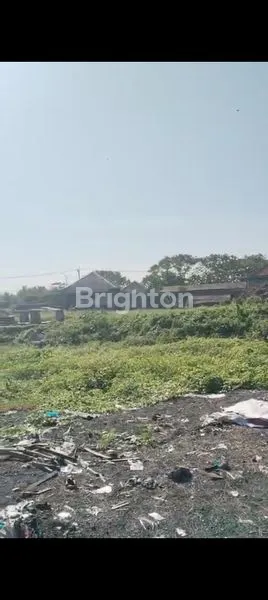 image TANAH LOS PANTAI JUAL STRATEGIS (7)