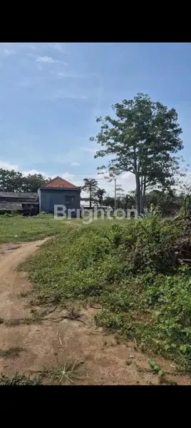 image TANAH LOS PANTAI JUAL STRATEGIS (3)