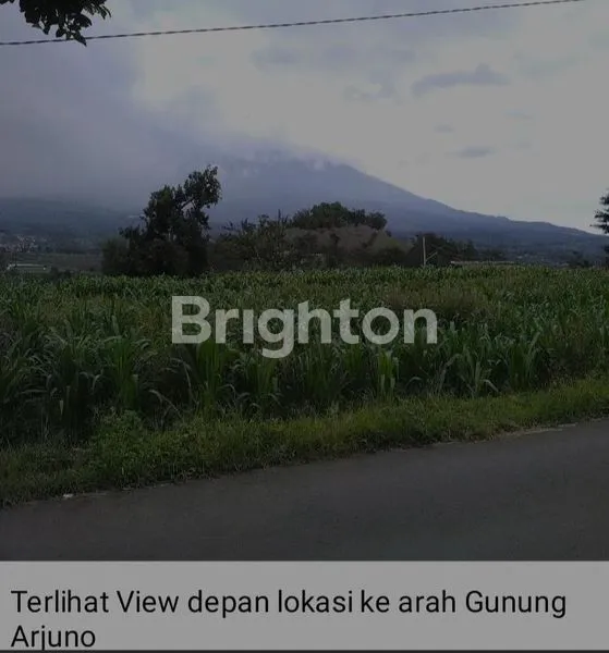 image GUNUNG WUKIR JUNREJO BATU MALANG  (2)