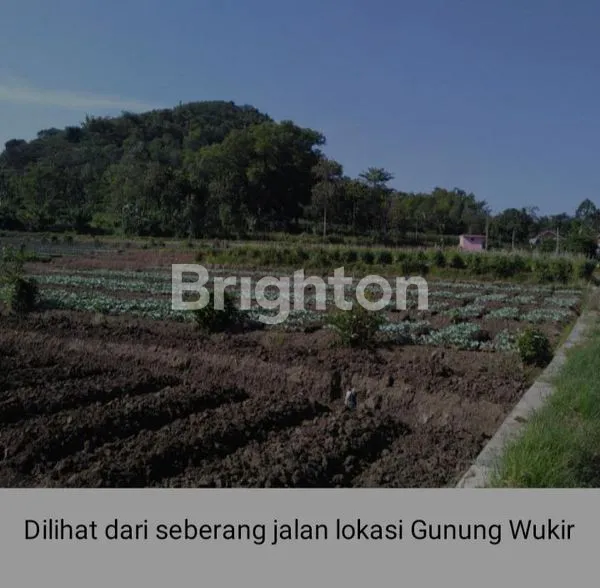 image GUNUNG WUKIR JUNREJO BATU MALANG  (3)