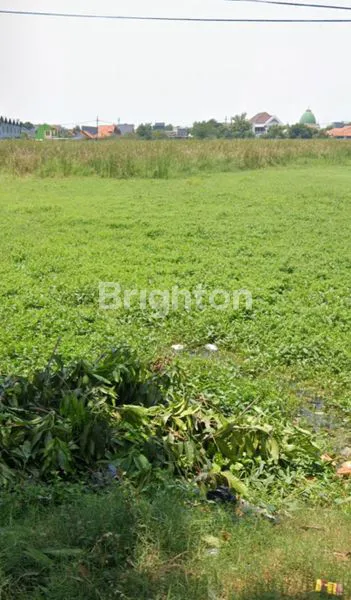 image TANAH PREMIUM 7.800M²  SIAP BANGUN DI NOL JLN RAYA  BYPASS JUANDA, DEKAT  TOL & BANDARA (1)