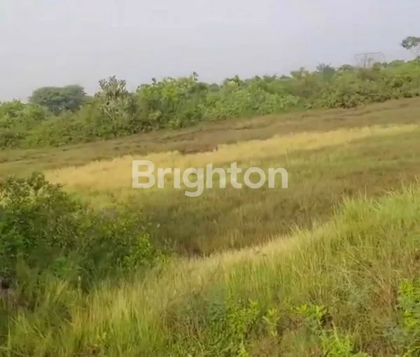 image LAHAN SHM 11 HEKTAR, AKSES TOL & JALAN NASIONAL (4)