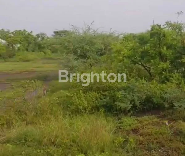 image LAHAN SHM 11 HEKTAR, AKSES TOL & JALAN NASIONAL (5)