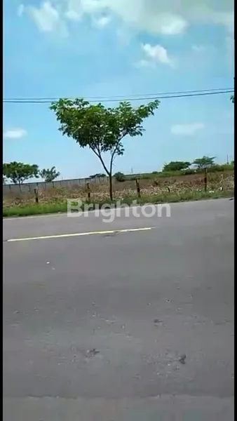 image TANAH TUBAN AREA WIDANG NOL JALAN SUDAH ZONA INDUSTRI COCOK PABRIK GUDANG LEBAR 100MTR (1)