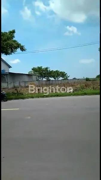 image TANAH TUBAN AREA WIDANG NOL JALAN SUDAH ZONA INDUSTRI COCOK PABRIK GUDANG LEBAR 100MTR (2)