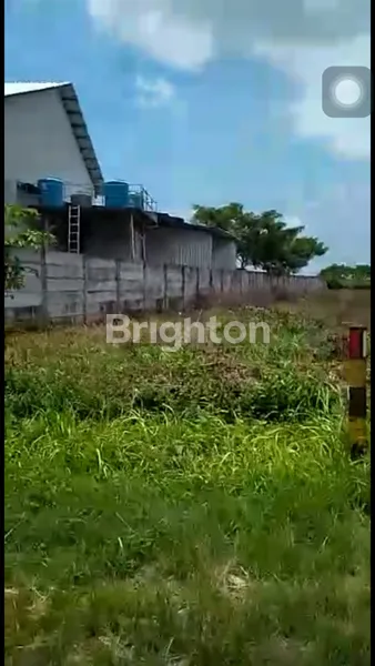 image TANAH TUBAN AREA WIDANG NOL JALAN SUDAH ZONA INDUSTRI COCOK PABRIK GUDANG LEBAR 100MTR (4)