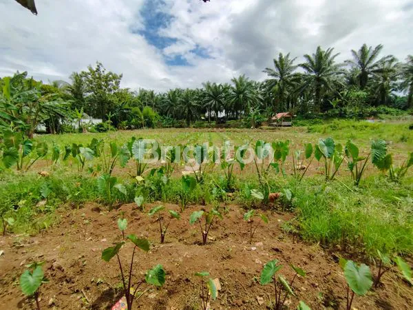 image TANAH DATAR SHM 2786M², STRATEGIS DI SEMPLAK BOGOR (4)