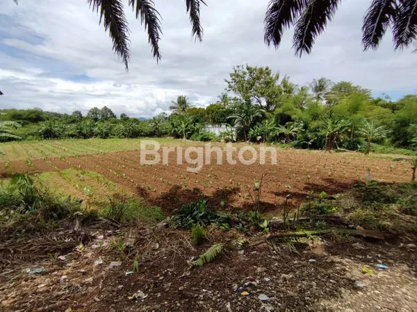 image TANAH DATAR SHM 2786M², STRATEGIS DI SEMPLAK BOGOR (5)