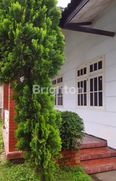 image RUMAH LUAS (7)