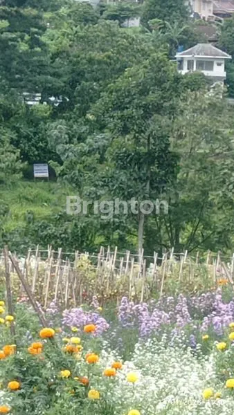 image TANAH SHM 4580M² STRATEGIS DI BATU (3)