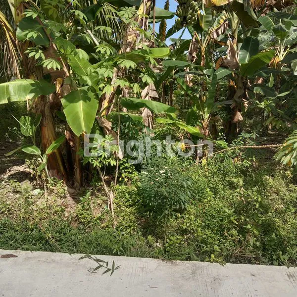 image TANAH KAPLINGAN DI JUAL , COCOK BUAT INVESTASI DAN RUMAH KOS KOS SAN  (3)