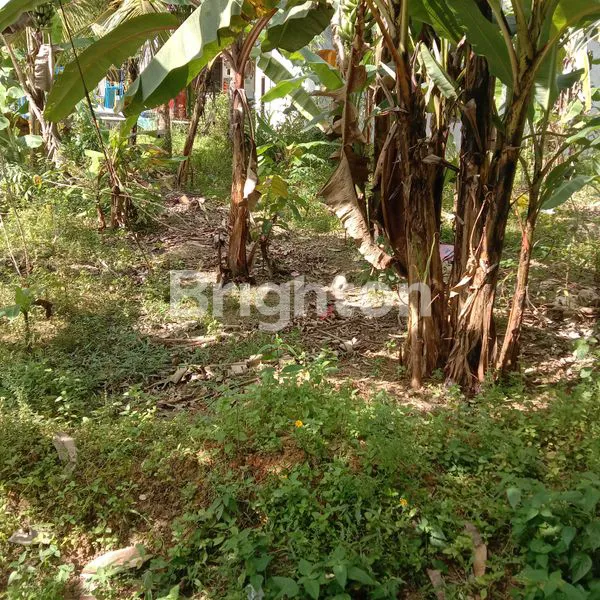 image TANAH KAPLINGAN DI JUAL , COCOK BUAT INVESTASI DAN RUMAH KOS KOS SAN  (1)