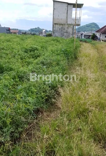 image TANAH INVESTASI  (2)