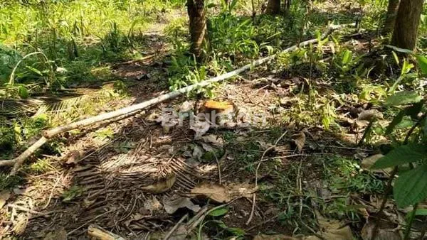 image INVESTASI STRATEGIS: TANAH 942M2 DI KRENDETAN PURWOREJO, DEKAT BANDARA YIA — COCOK UNTUK BISNIS & HOMESTAY (2)