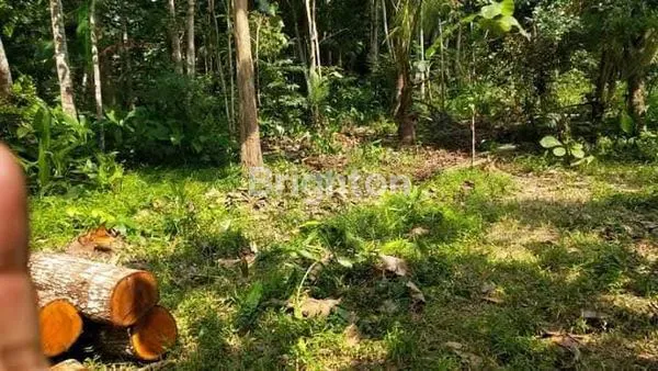 image INVESTASI STRATEGIS: TANAH 942M2 DI KRENDETAN PURWOREJO, DEKAT BANDARA YIA — COCOK UNTUK BISNIS & HOMESTAY (1)