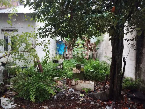 image JUAL RUMAH DAN TANAH NYAMAN DAN STRATEGI DI CINERE (3)