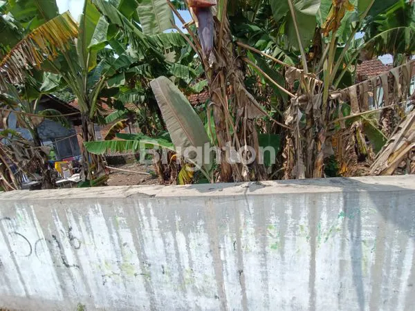 image \U2728 DIJUAL TANAH PEKARANGAN STRATEGIS – KARTASURA \U2728 (2)