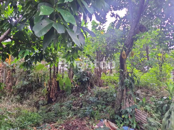 image TANAH SHM 103M² DI JAGAKARSA, HARGA 6 JUTA/M² (3)