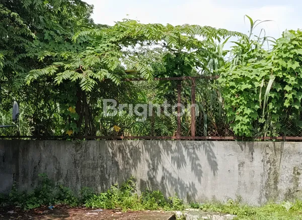 image TANAH LUAS DIJUAL SIAP KELOLA (1)