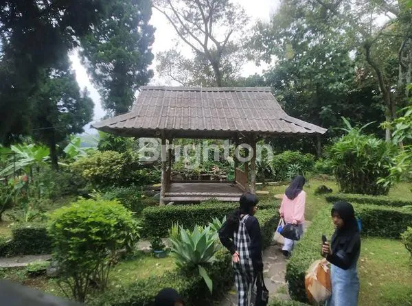 image VILLA DENGAN KEBUN YANG LUAS SERTA PEMANDANGAN VIEW PEGUNUNGAN DAERAH TRAWAS MOJOKERTO (3)