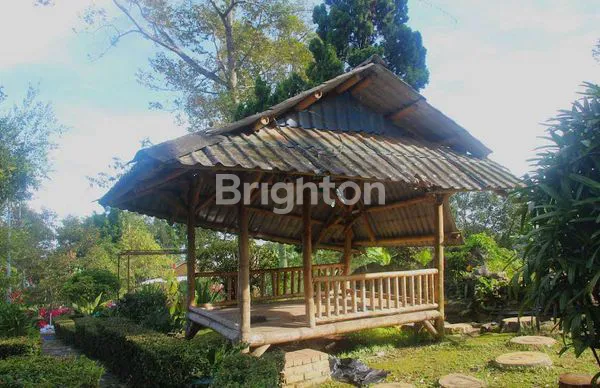 image VILLA DENGAN KEBUN YANG LUAS SERTA PEMANDANGAN VIEW PEGUNUNGAN DAERAH TRAWAS MOJOKERTO (4)