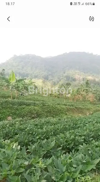 image TANAH STRATEGIS DEKAT DENGAN VILLA KAPAL API VIEW PEGUNUNGAN  (1)