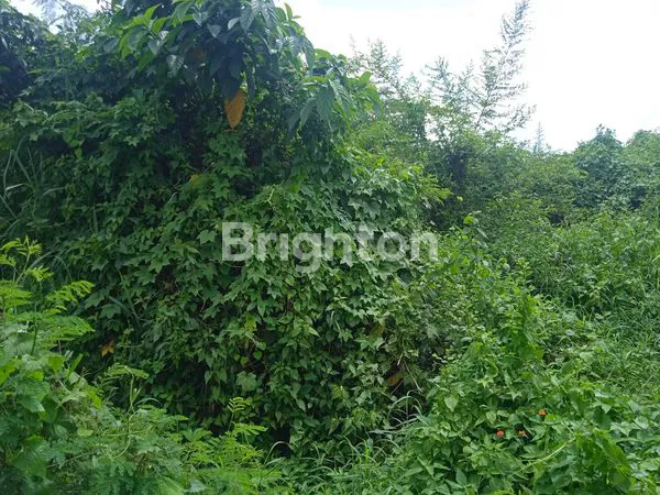 image DIJUAL DIBAWAH HARGA PASAR TANAH PREMIUM DI RAJABASA, BANDAR LAMPUNG  (3)