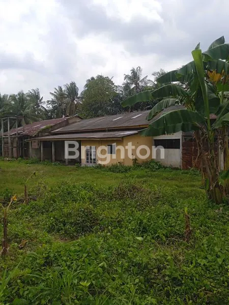 image TANAH DAPAT GUDANG DI JLN. LINTAS SUMATERA, KALIANDA, LAMPUNG SELATAN, LAMPUNG (2)