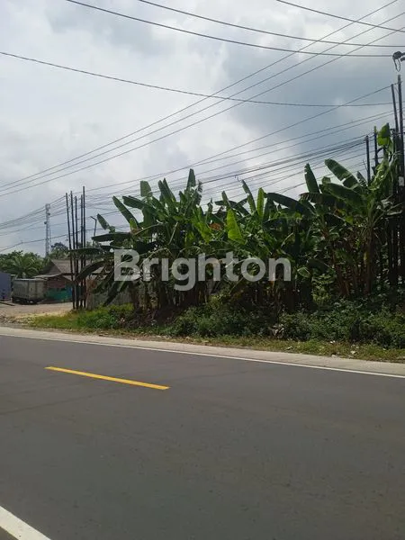 image TANAH DAPAT GUDANG DI JLN. LINTAS SUMATERA, KALIANDA, LAMPUNG SELATAN, LAMPUNG (7)