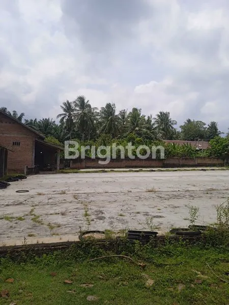image TANAH DAPAT GUDANG & RUMAH DI JLN. LINTAS SUMATERA, KALIANDA, LAMPUNG SELATAN, LAMPUNG (3)