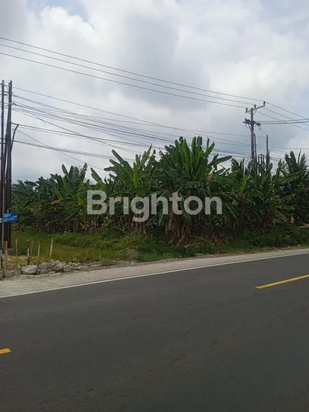 image TANAH DAPAT GUDANG & RUMAH DI JLN. LINTAS SUMATERA, KALIANDA, LAMPUNG SELATAN, LAMPUNG (8)