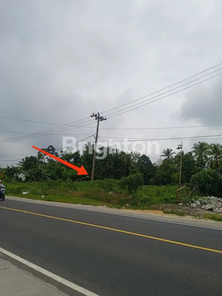 image TANAH DI JLN. LINTAS SUMATERA, KALIANDA, LAMPUNG SELATAN, LAMPUNG (5)