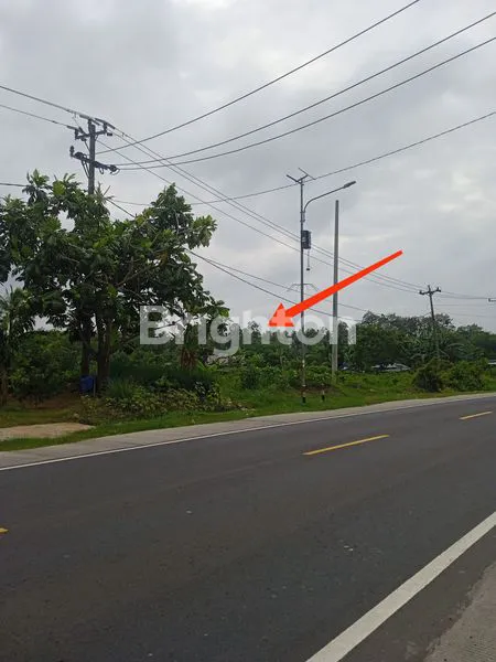 image TANAH DI JLN. LINTAS SUMATERA, KALIANDA, LAMPUNG SELATAN, LAMPUNG (2)