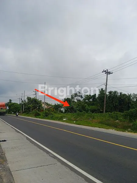 image TANAH DI JLN. LINTAS SUMATERA, KALIANDA, LAMPUNG SELATAN, LAMPUNG (3)
