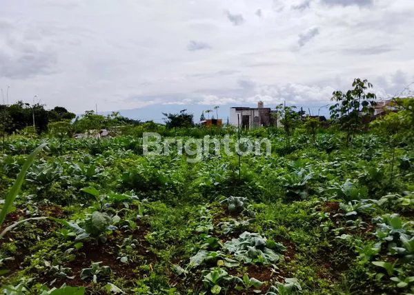 image TANAH INVESTASI  (2)