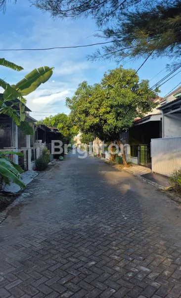 image RUMAH MINIMALIS MODERN DI GRAND SEMANGGI, LT 91M² (6)