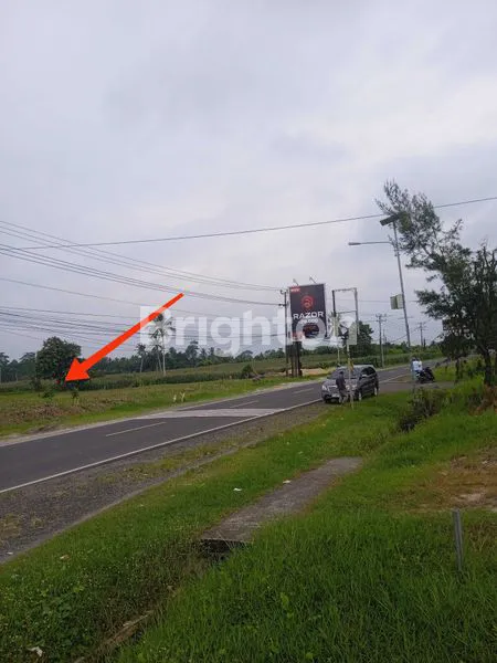 image TANAH SANGAT STRATEGIS DI JLN. LINTAS SUMATERA, KALIANDA, LAMPUNG SELATAN, LAMPUNG (4)