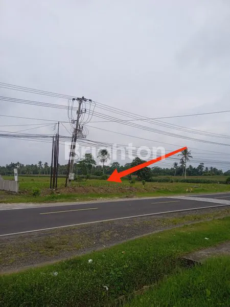 image TANAH SANGAT STRATEGIS DI JLN. LINTAS SUMATERA, KALIANDA, LAMPUNG SELATAN, LAMPUNG (2)