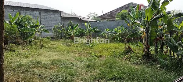 image TANAH DIJUAL HOOK (2)