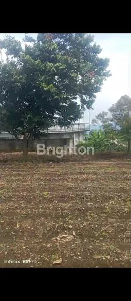 image TANAH COCOK UNTUK VILLA DEKAT DENGAN WISATA AIR TERJUN DLUNDUNG TAWAS MOJOKERTO (2)