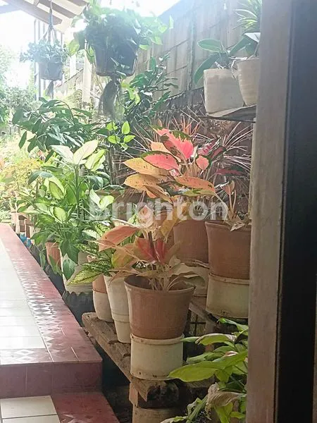 image RUMAH ETNIK KLASIK ADAT TORAJA, EKSKLUSIF DI CILODONG  (4)